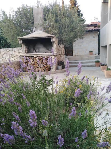 Apartmani Morovi Dvori Drage Extérieur photo